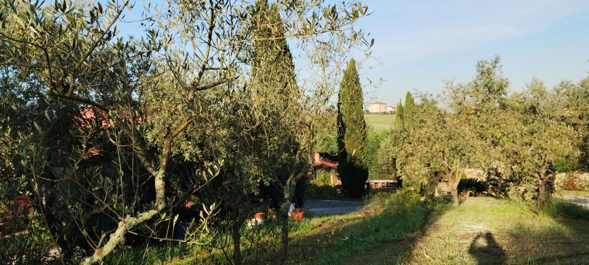 Al Sangallo Agriturismo Montecarlo Exterior foto